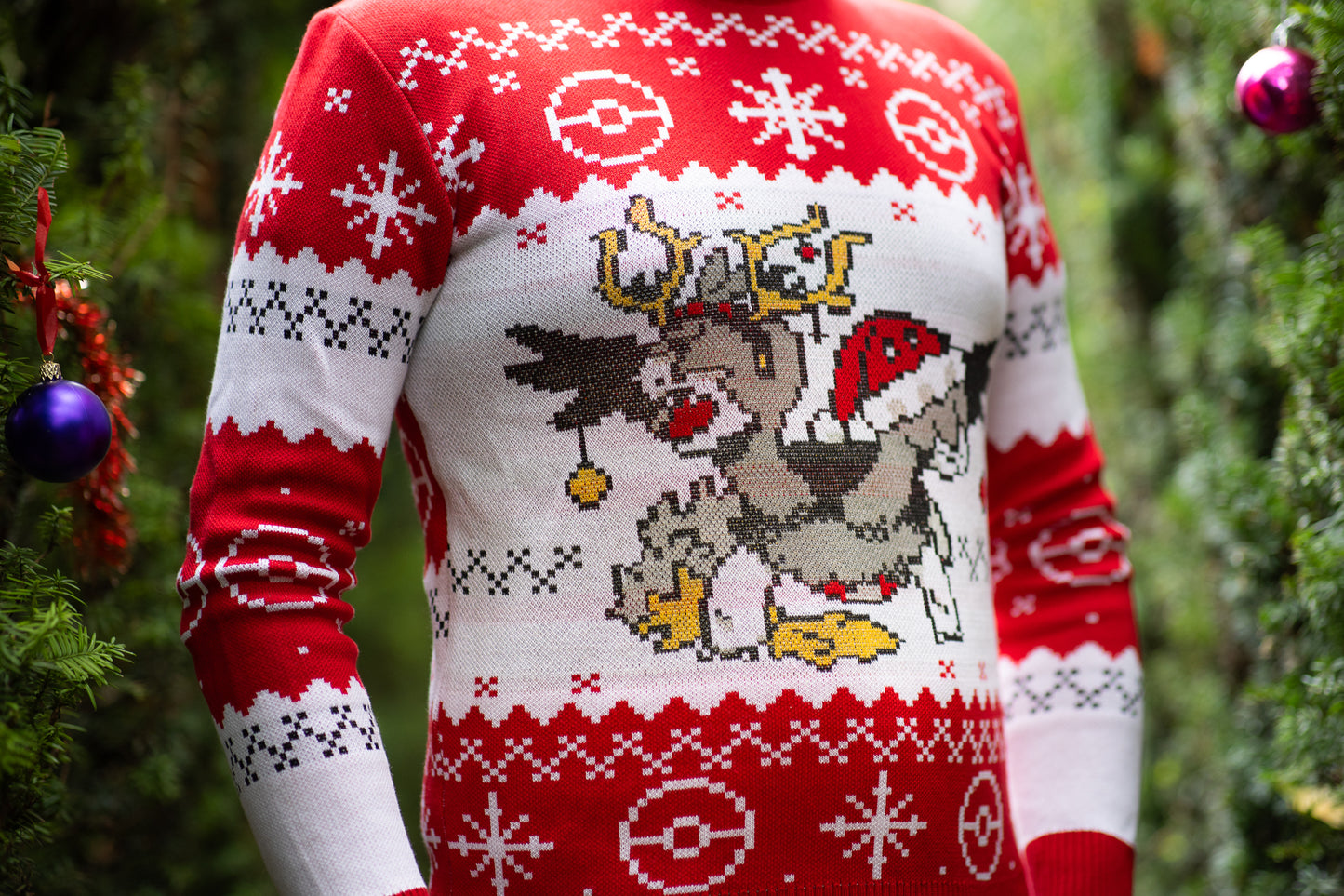 Pull de noël Eudes Cruz